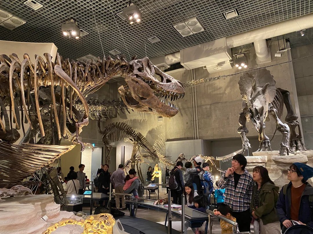 🔬 히메지 과학관 이미지 7